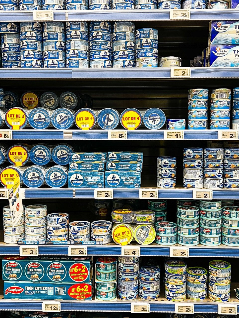 Free Brightly colored sardine and tuna cans on a supermarket shelf in Calais, France. Stock Photo